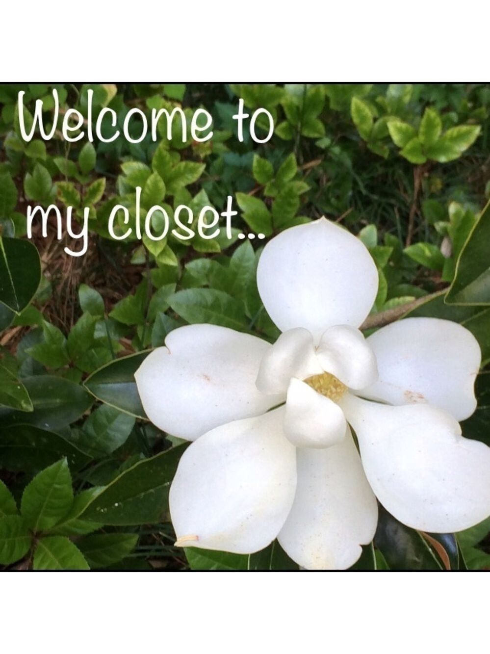 🌻Welcome!🌻